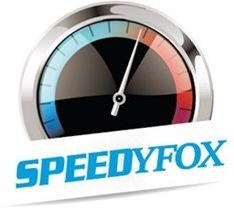 SpeedyFox v2.0.28.145