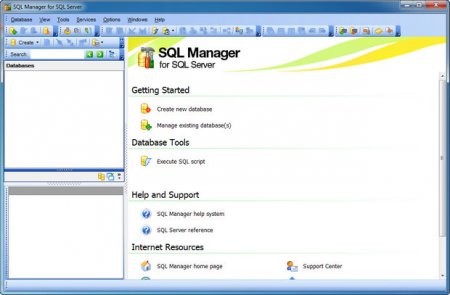 EMS SQL Manager for SQL Server v4.2.1 B47235
