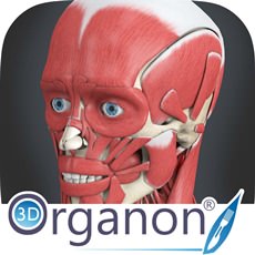 3D Organon Anatomy 3.0.0 ISO