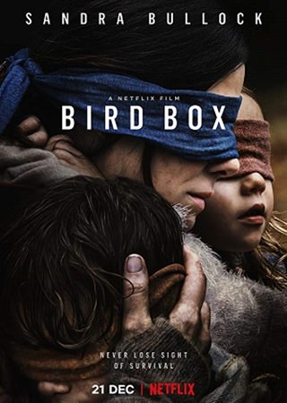 Bird Box | 2018 | 1080p | DUAL | TR - ENG | MKV